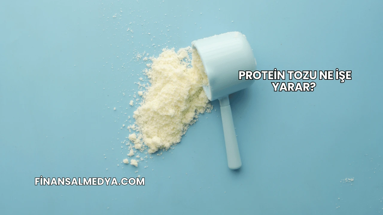 Protein Tozu Ne İşe Yarar?