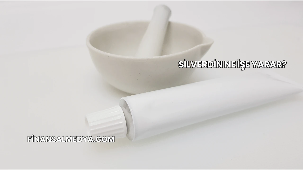 Silverdin Ne İşe Yarar?