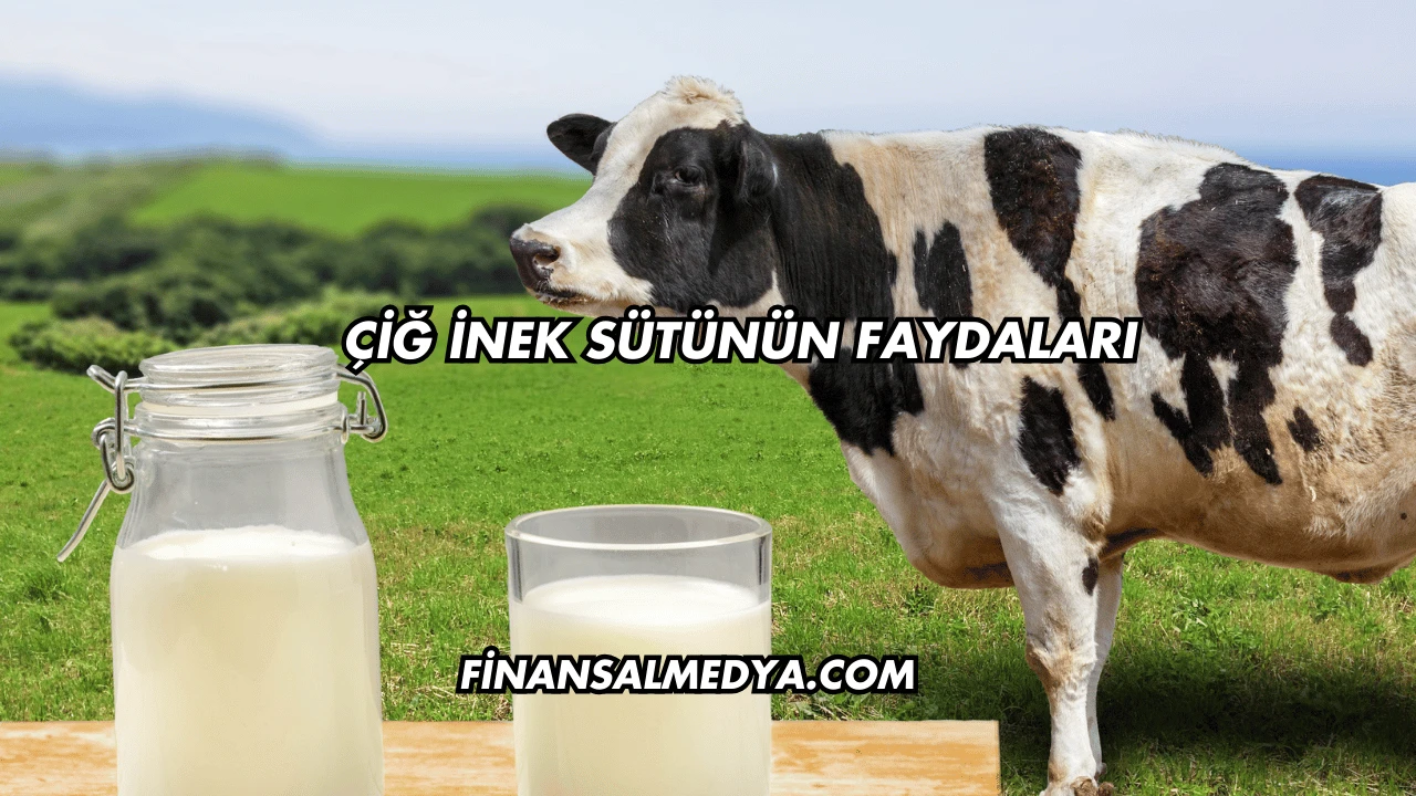 Çiğ İnek Sütünün Faydaları
