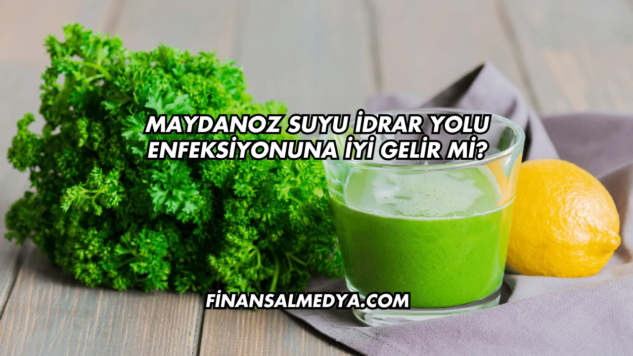 Maydanoz Suyu İdrar Yolu Enfeksiyonuna İyi Gelir mi?