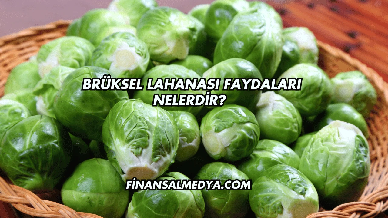 Brüksel Lahanası Faydaları Nelerdir?