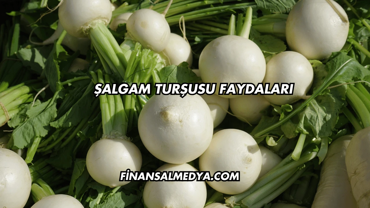 Şalgam Turşusu Faydaları