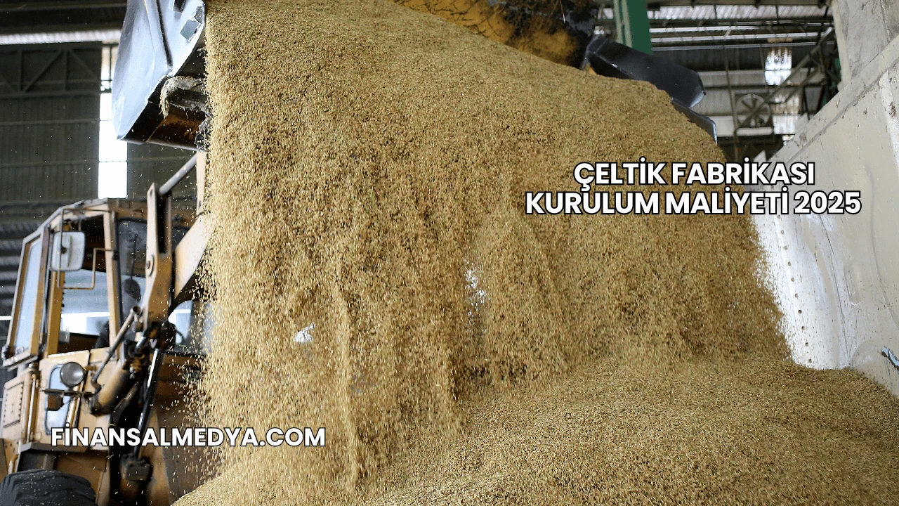 Çeltik Fabrikası Kurulum Maliyeti 2025