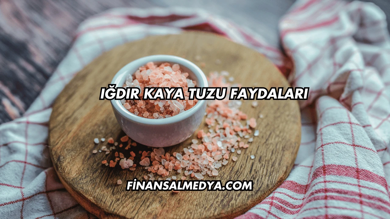 Iğdır Kaya Tuzu Faydaları
