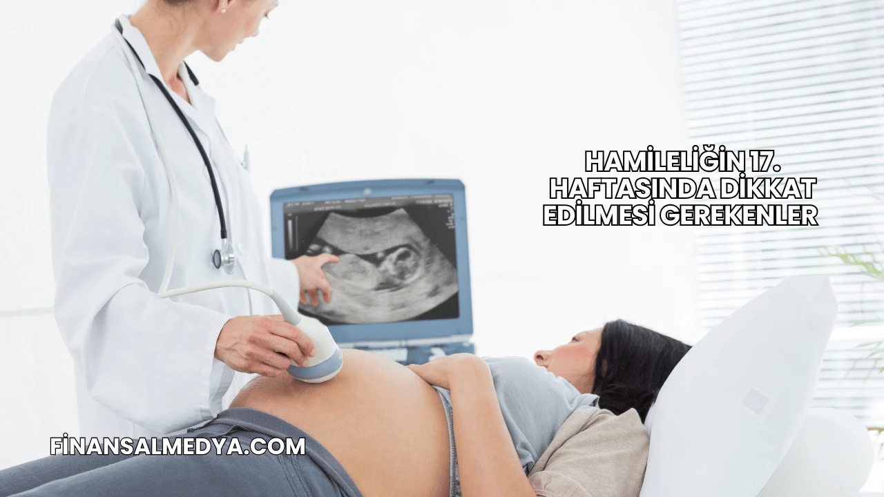 Hamileliğin 17. Haftasında Dikkat Edilmesi Gerekenler