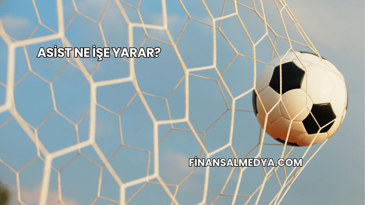 Asist Ne İşe Yarar?