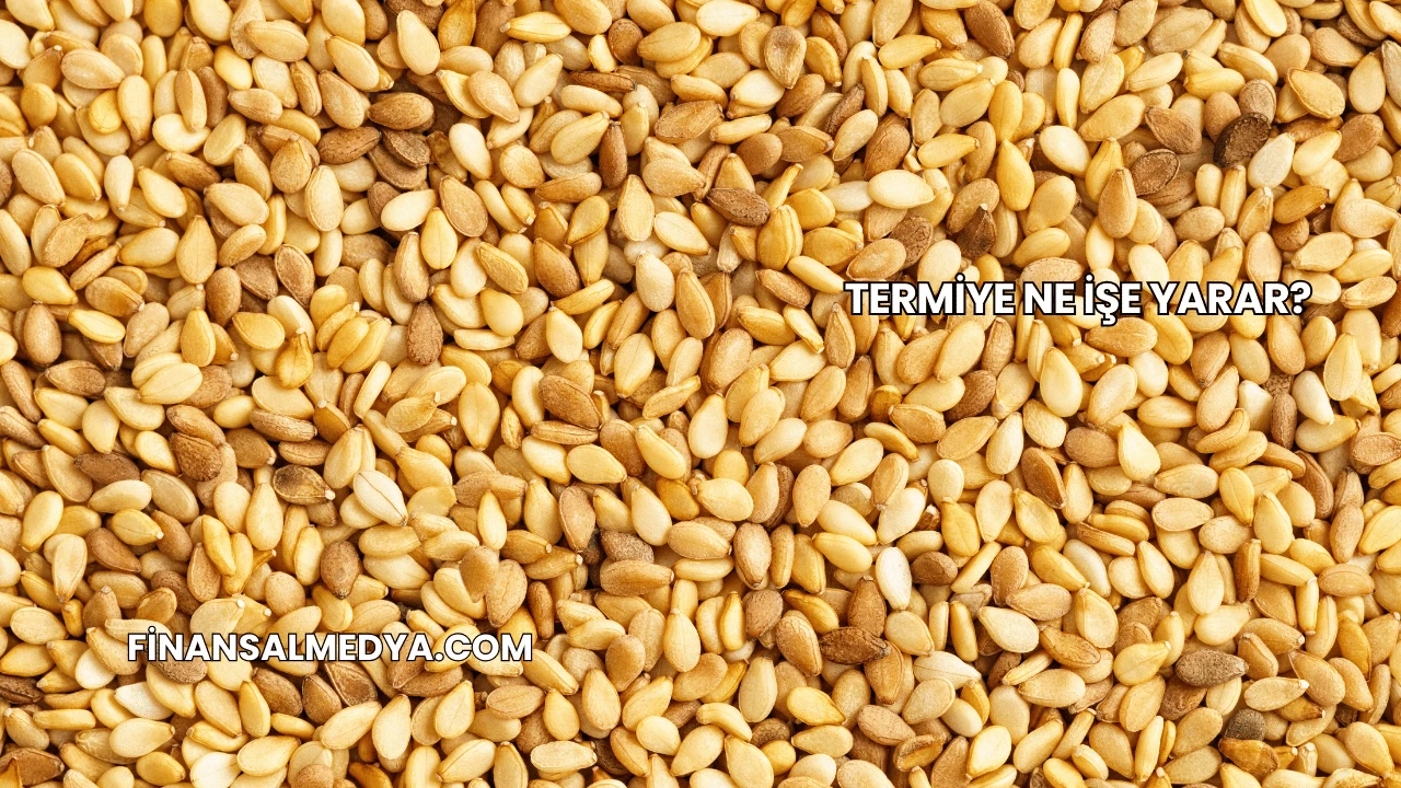 Termiye Ne İşe Yarar?