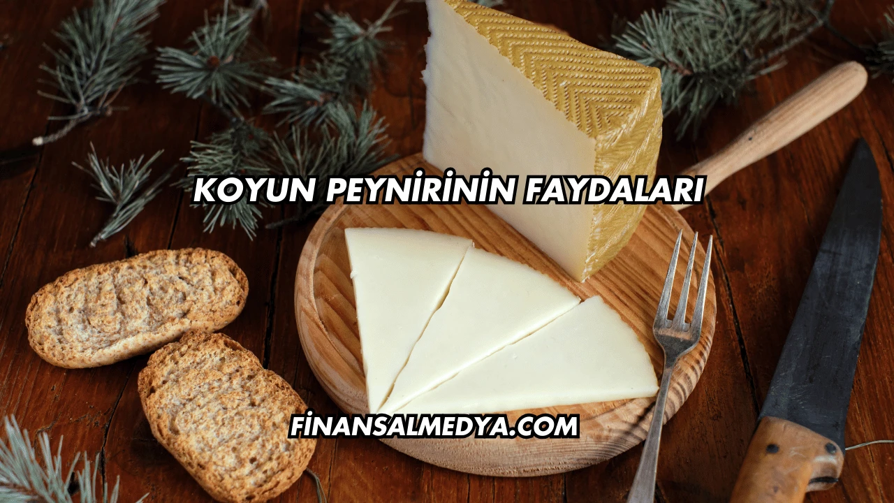 Koyun Peynirinin Faydaları