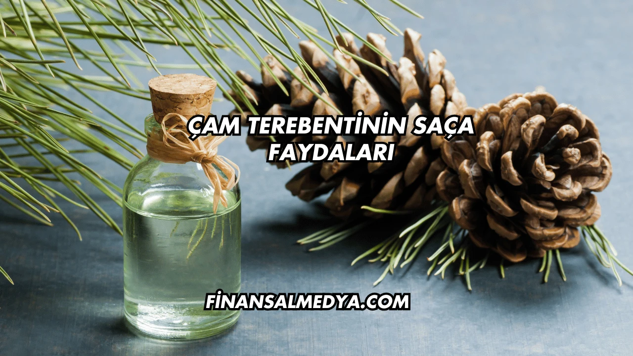 Çam Terebentinin Saça Faydaları