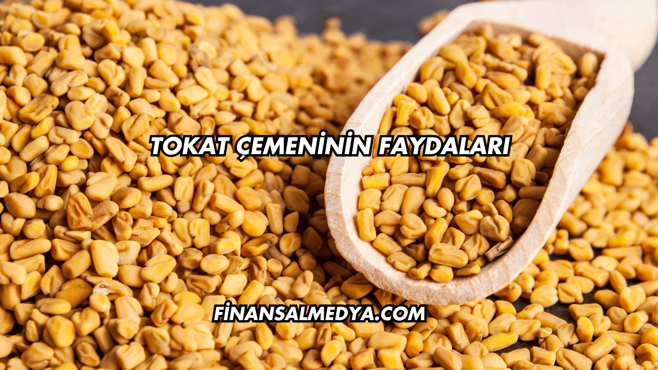 Tokat Çemeninin Faydaları