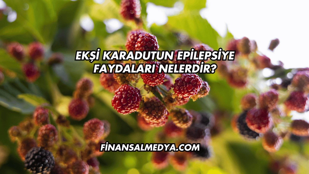 Ekşi Karadutun Epilepsiye Faydaları Nelerdir?