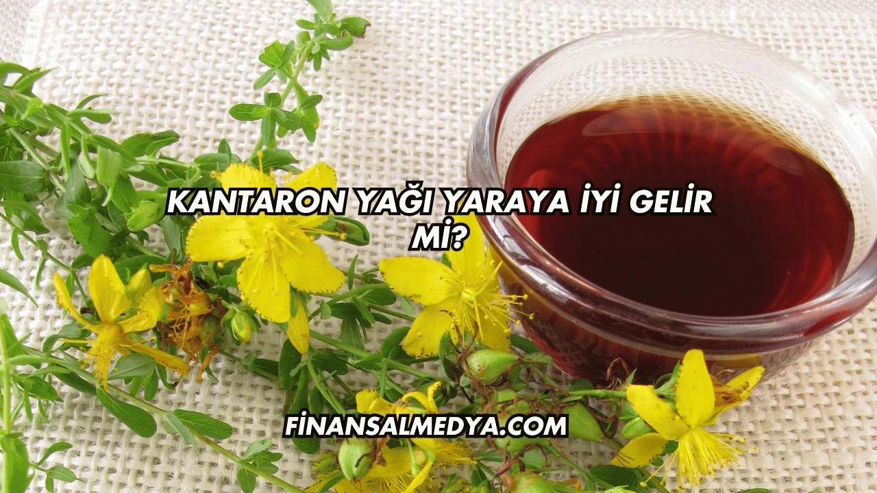 Kantaron Yağı Yaraya İyi Gelir mi?