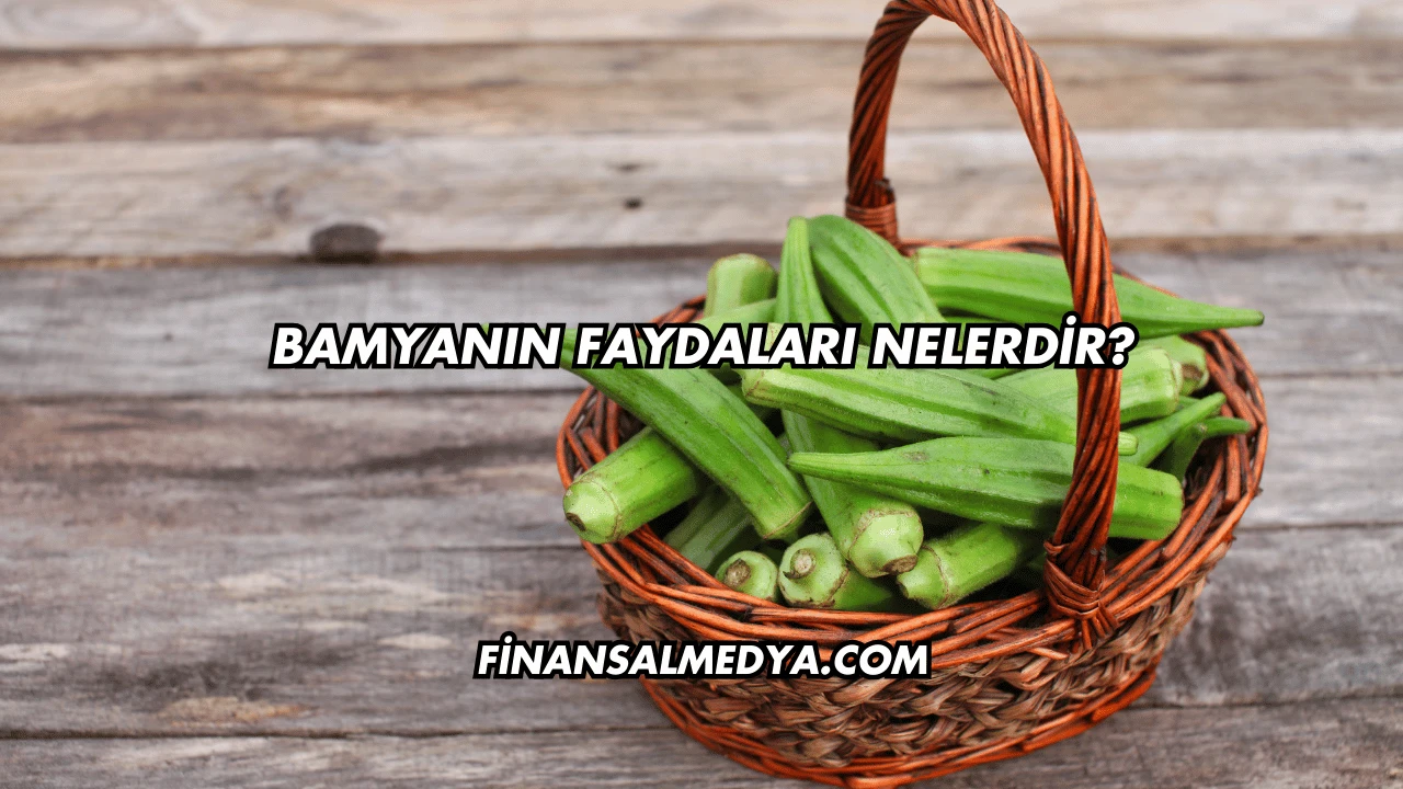 Bamyanın Faydaları Nelerdir?