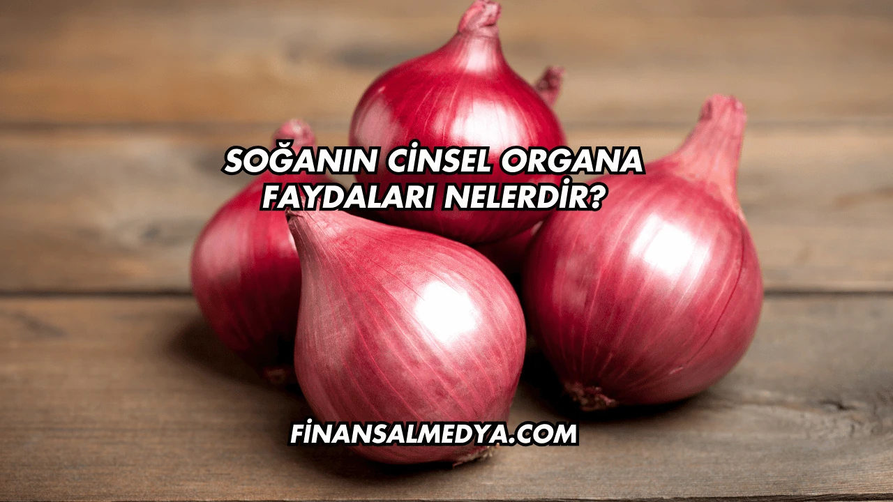 Soğanın Cinsel Organa Faydaları Nelerdir?