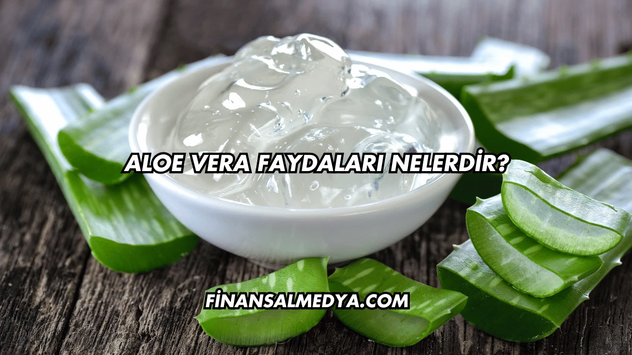 Aloe Vera Faydaları Nelerdir?