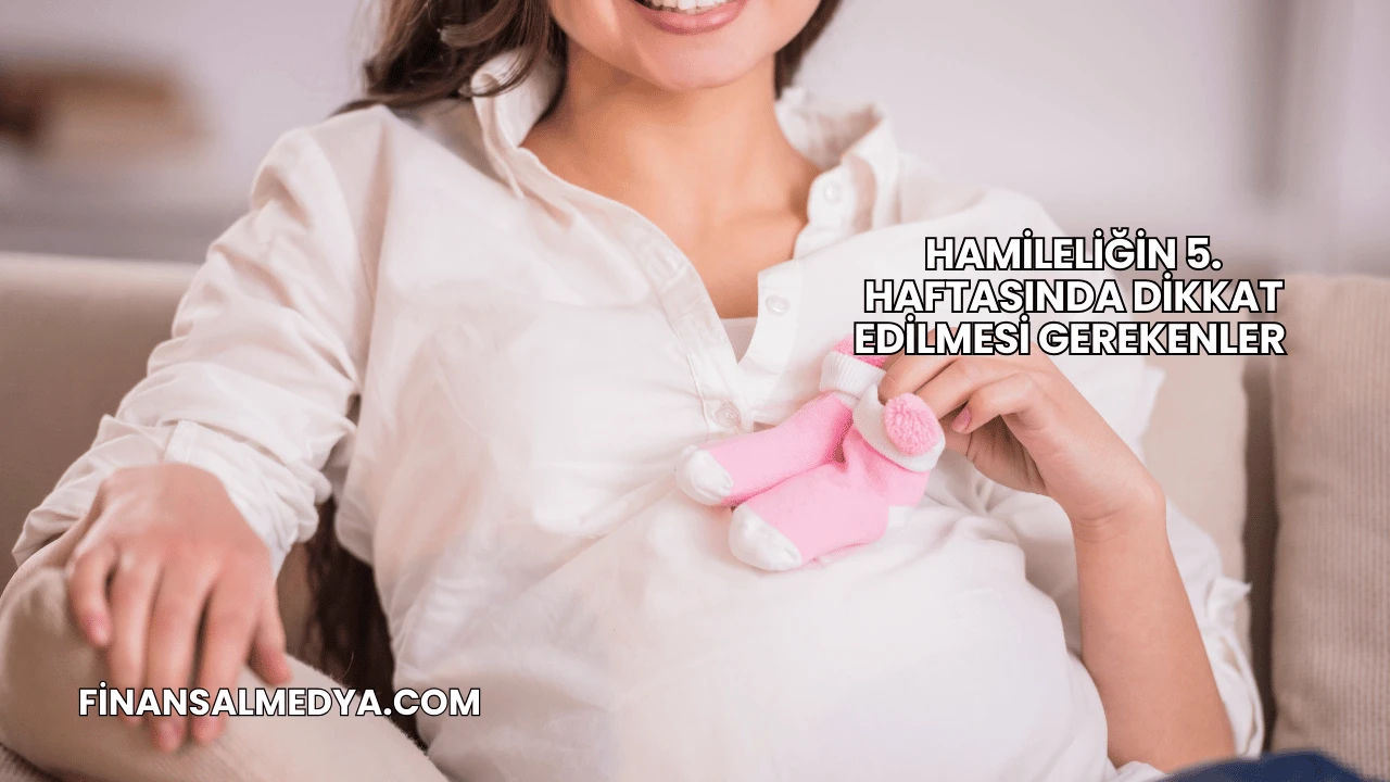 Hamileliğin 5. Haftasında Dikkat Edilmesi Gerekenler