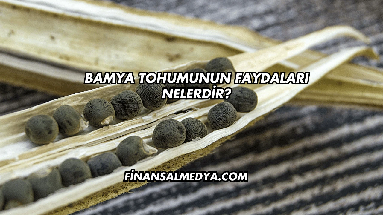 Bamya Tohumunun Faydaları Nelerdir?