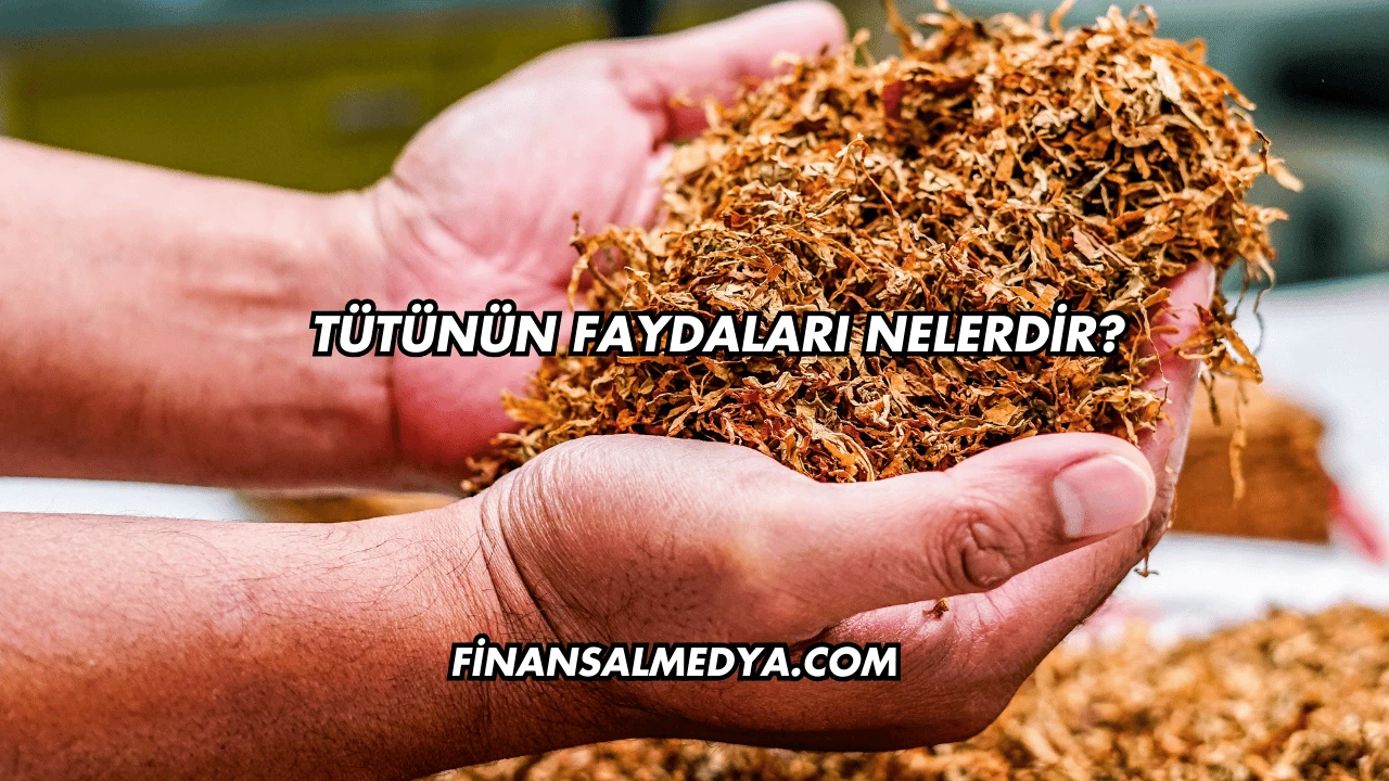 Tütünün Faydaları Nelerdir?