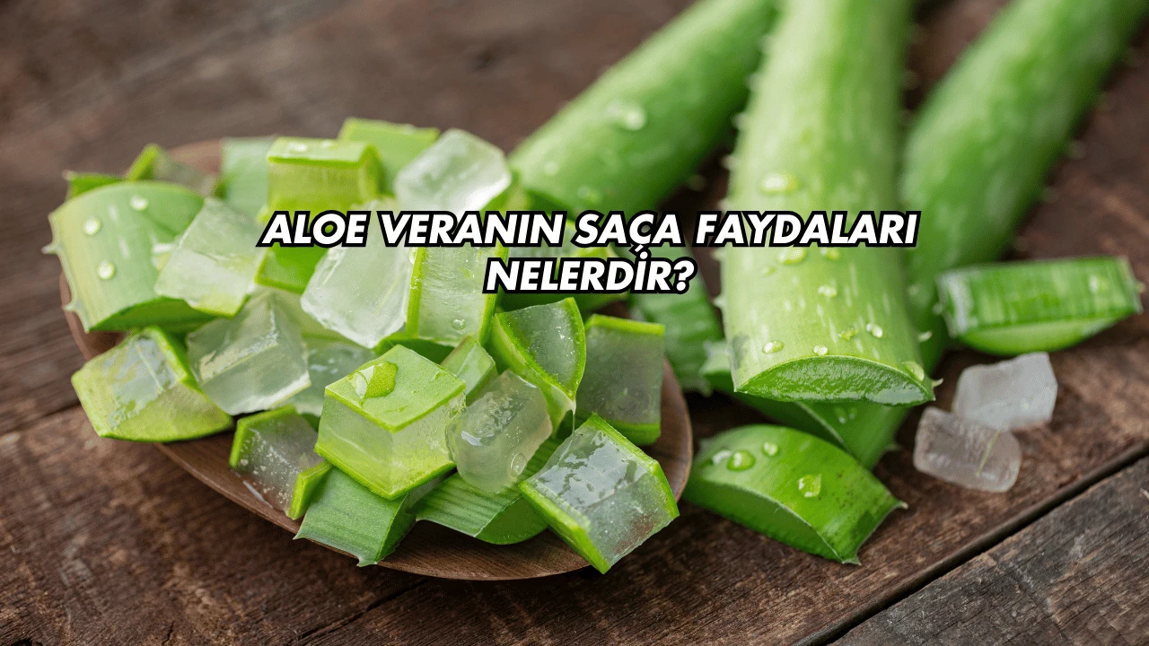 Aloe Veranın Saça Faydaları Nelerdir?