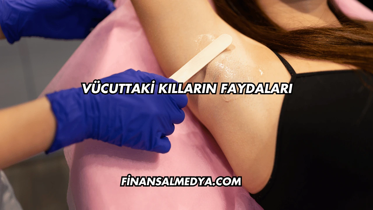Vücuttaki Kılların Faydaları