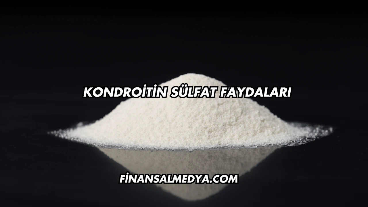 Kondroitin Sülfat Faydaları