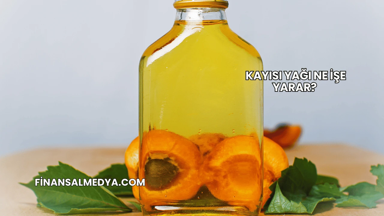Kayısı Yağı Ne İşe Yarar?