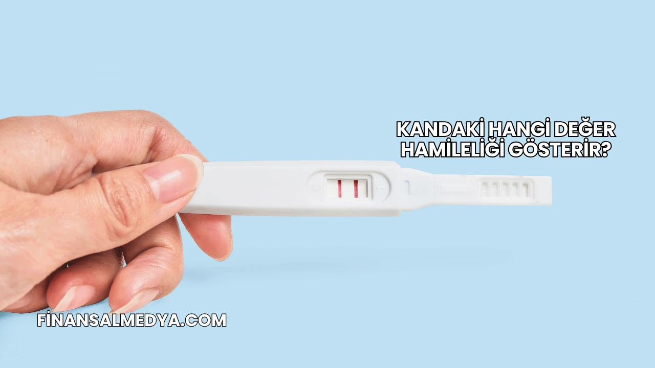 Kandaki Hangi Değer Hamileliği Gösterir?