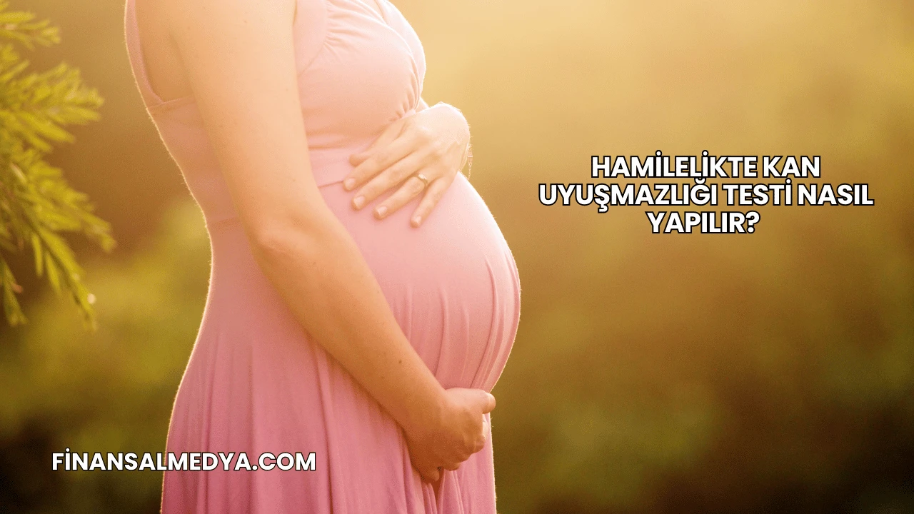 Hamilelikte Kan Uyuşmazlığı Testi Nasıl Yapılır?