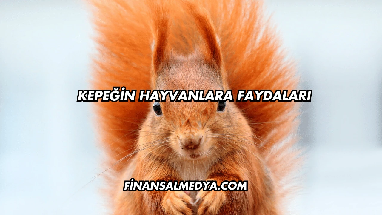 Kepeğin Hayvanlara Faydaları