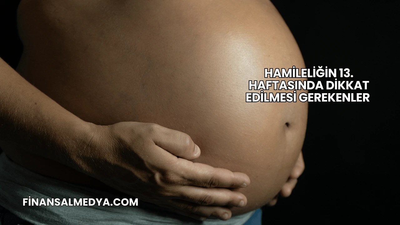 Hamileliğin 13. Haftasında Dikkat Edilmesi Gerekenler