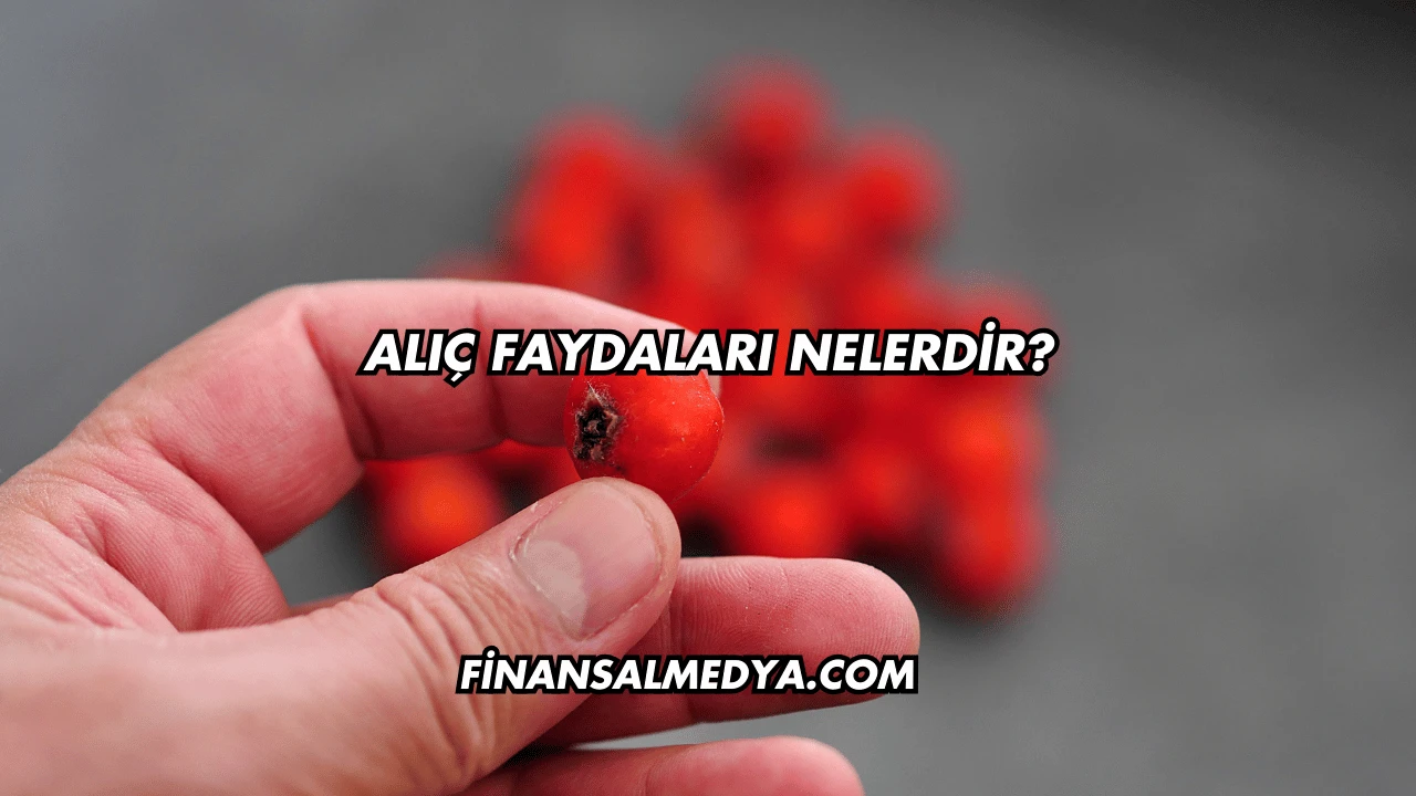 Alıç Faydaları Nelerdir?