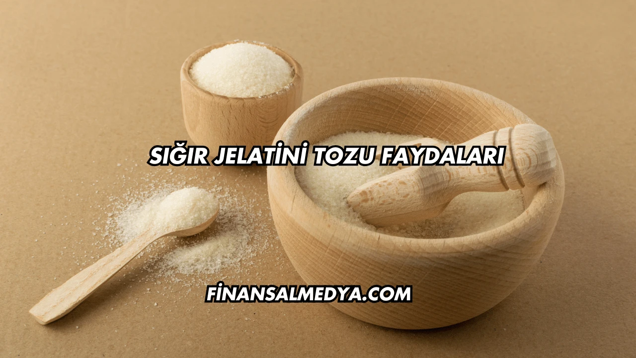 Sığır Jelatini Tozu Faydaları