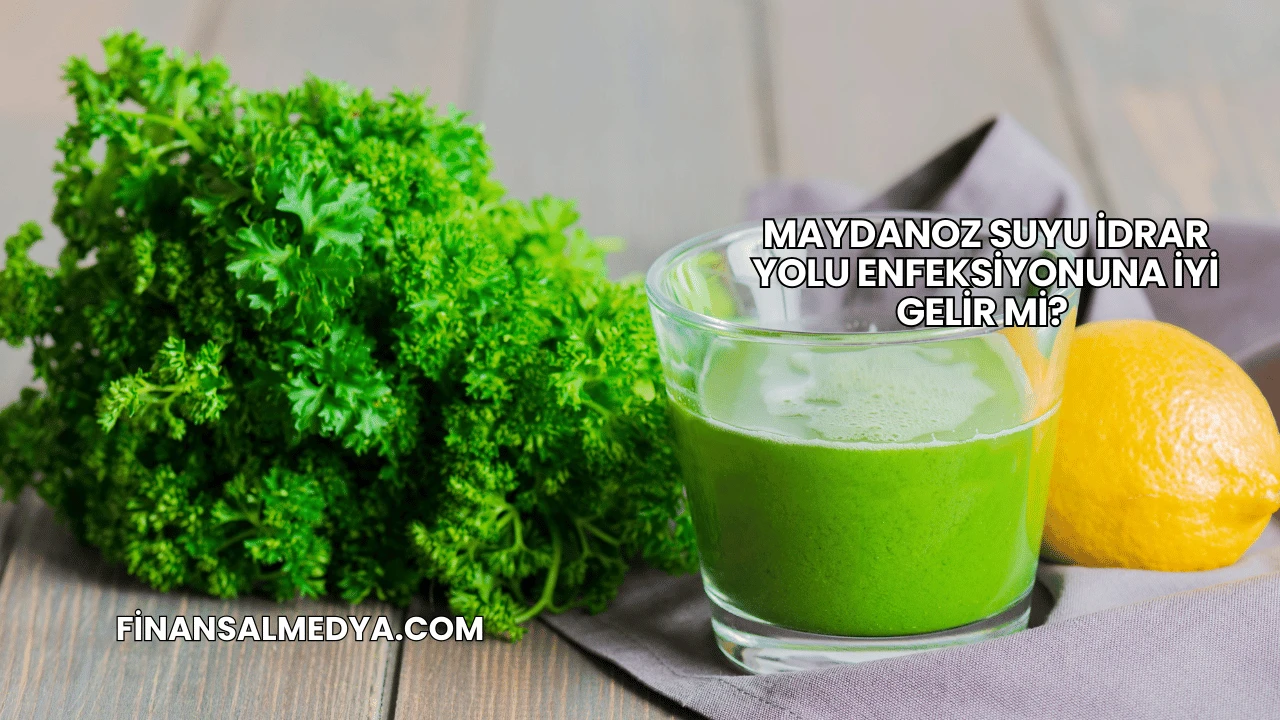 Maydanoz Suyu İdrar Yolu Enfeksiyonuna İyi Gelir mi?