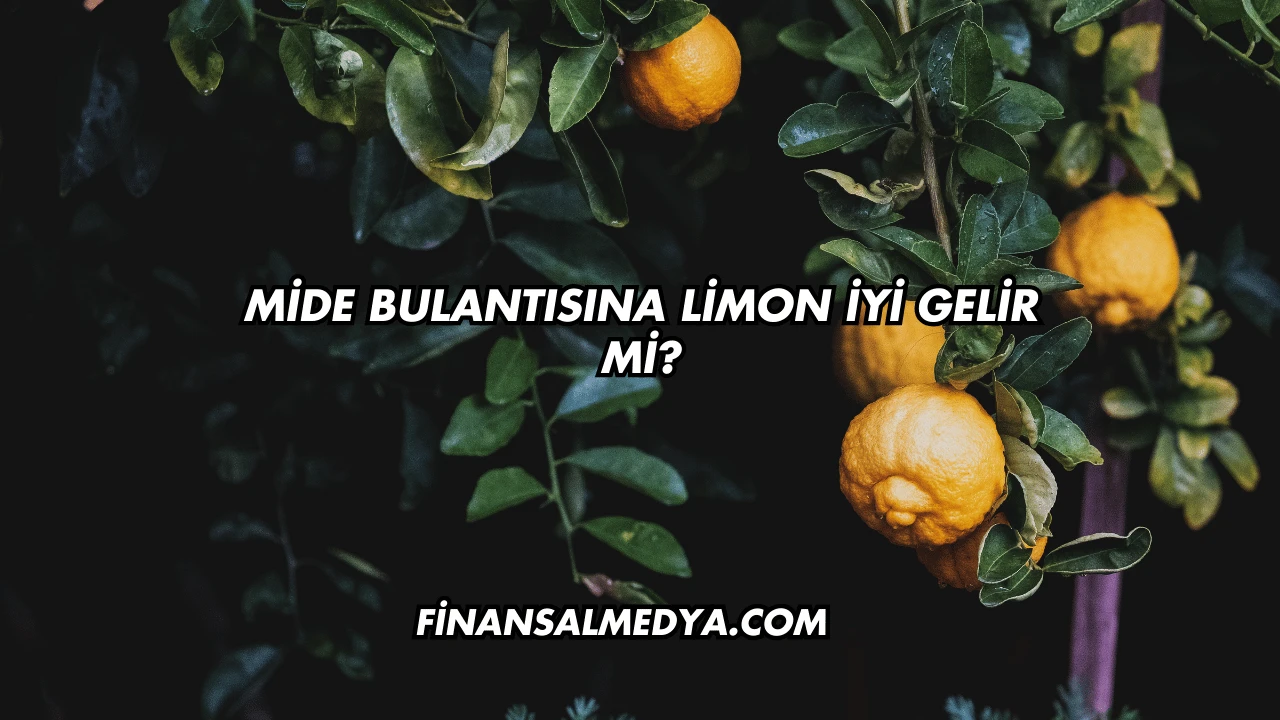 Mide Bulantısına Limon İyi Gelir mi?