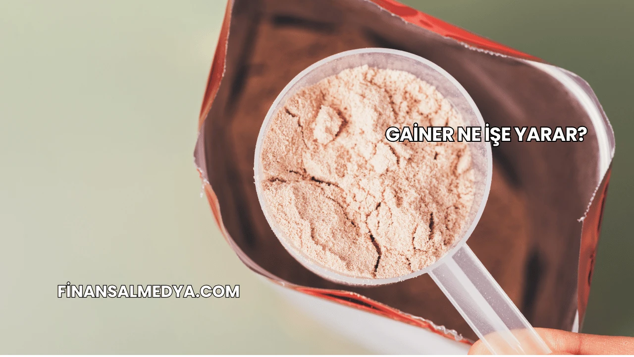 Gainer Ne İşe Yarar?
