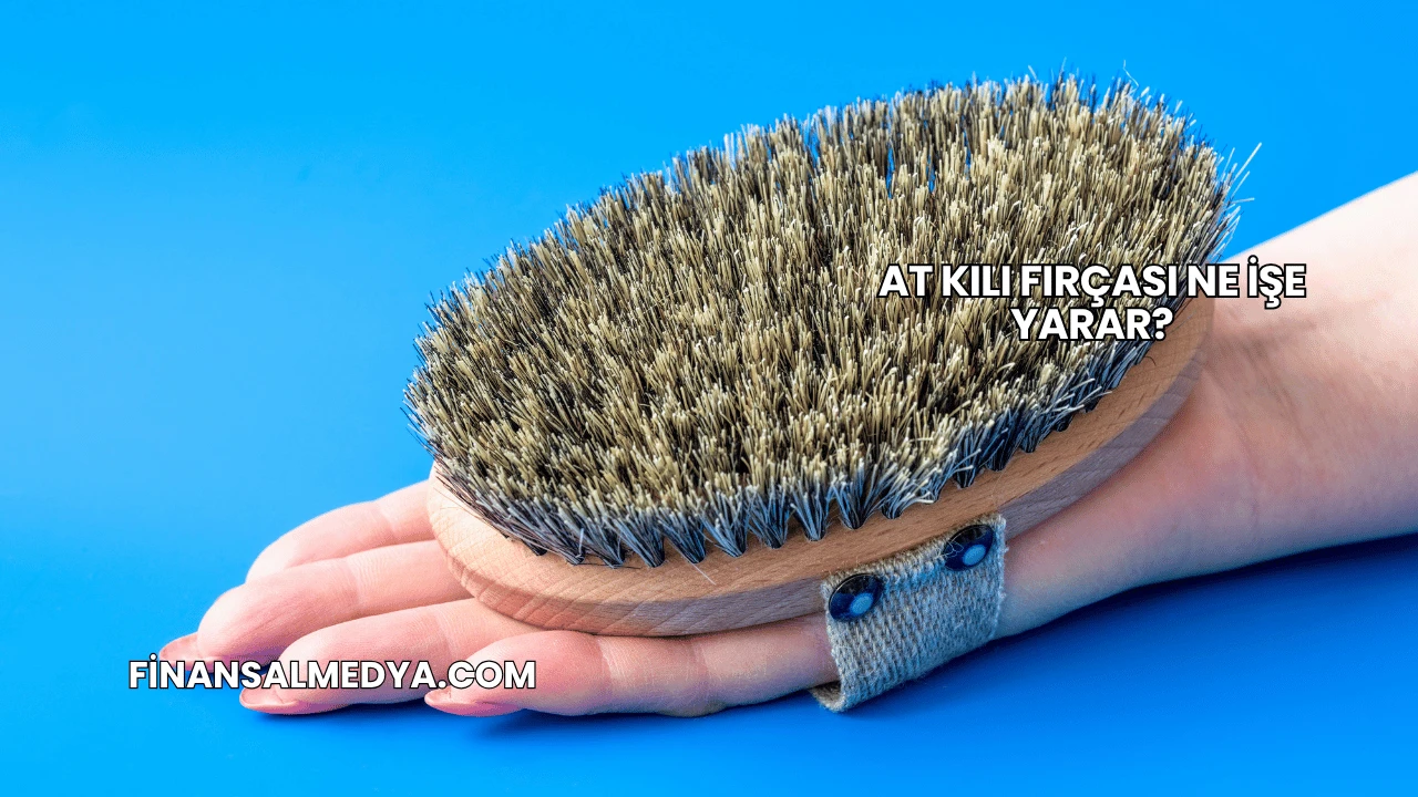 At Kılı Fırçası Ne İşe Yarar?