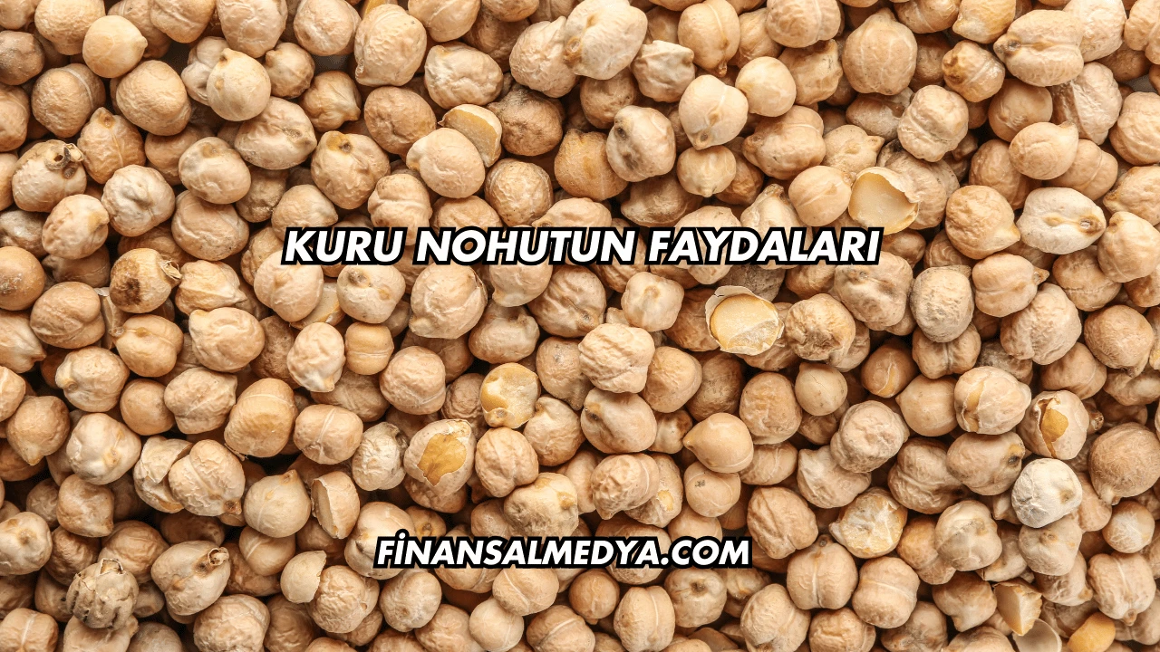 Kuru Nohutun Faydaları