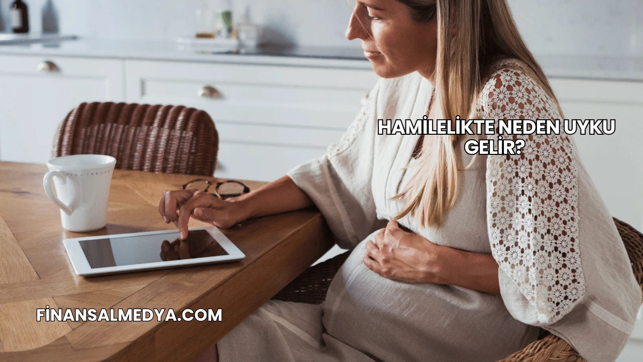 Hamilelikte Neden Uyku Gelir?