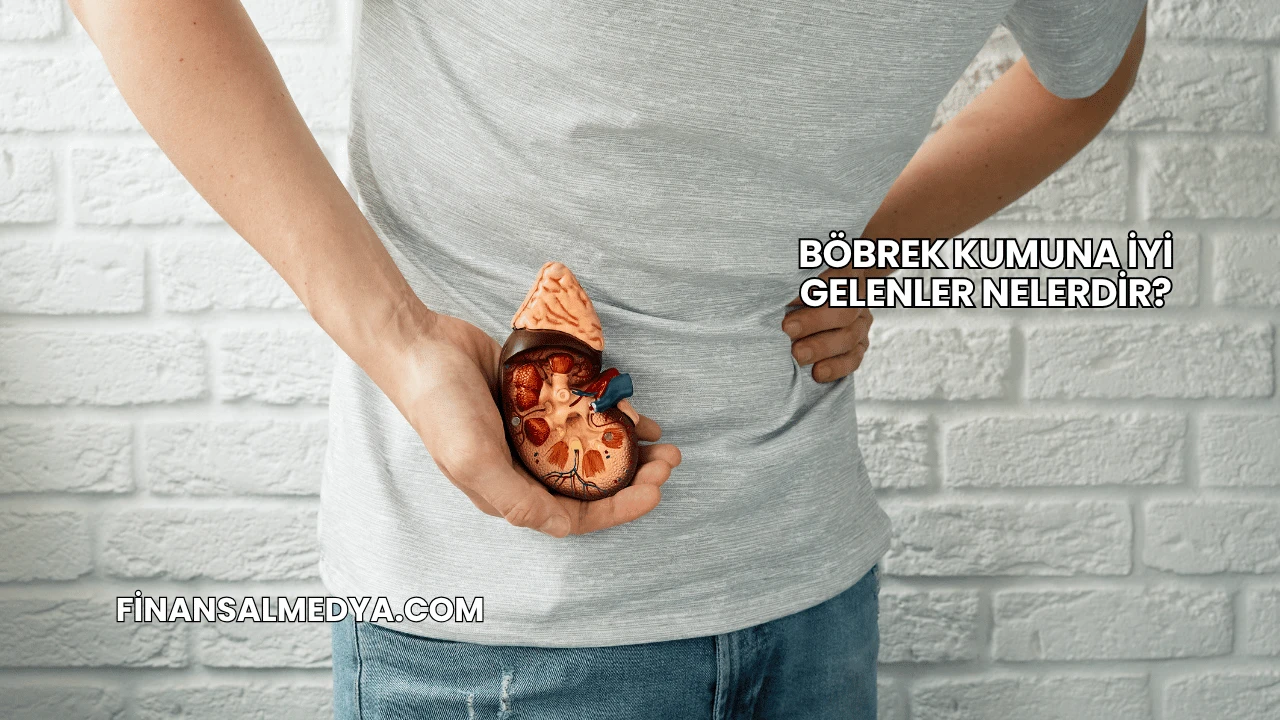 Böbrek Kumuna İyi Gelenler Nelerdir?