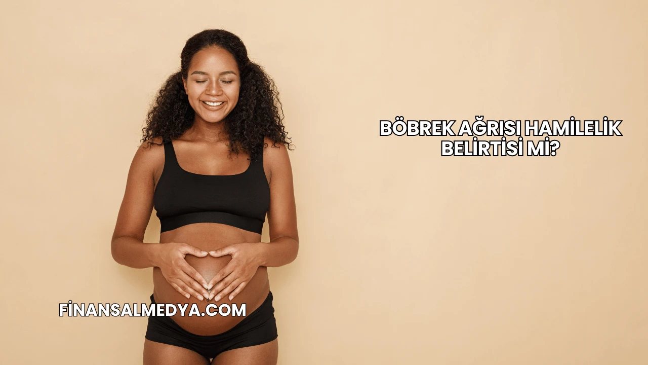 Böbrek Ağrısı Hamilelik Belirtisi mi?