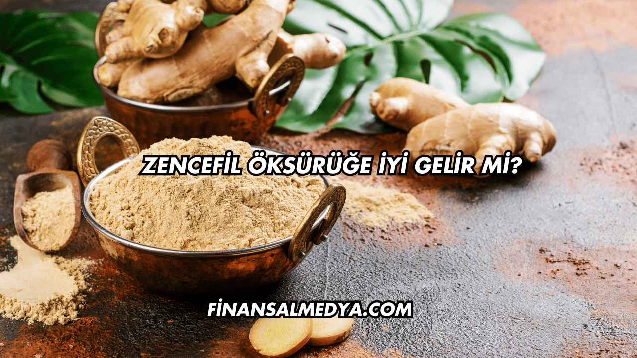 Zencefil Öksürüğe İyi Gelir mi?