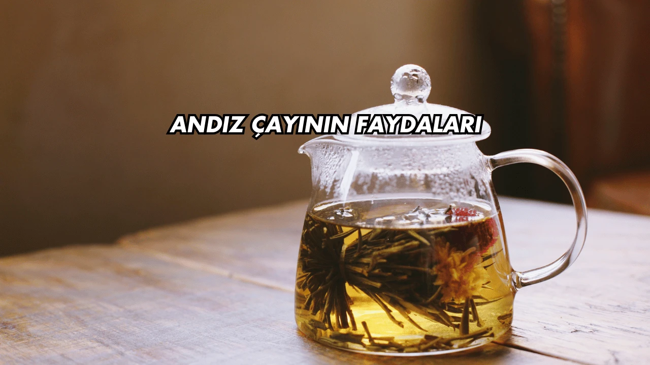 Andız Çayının Faydaları