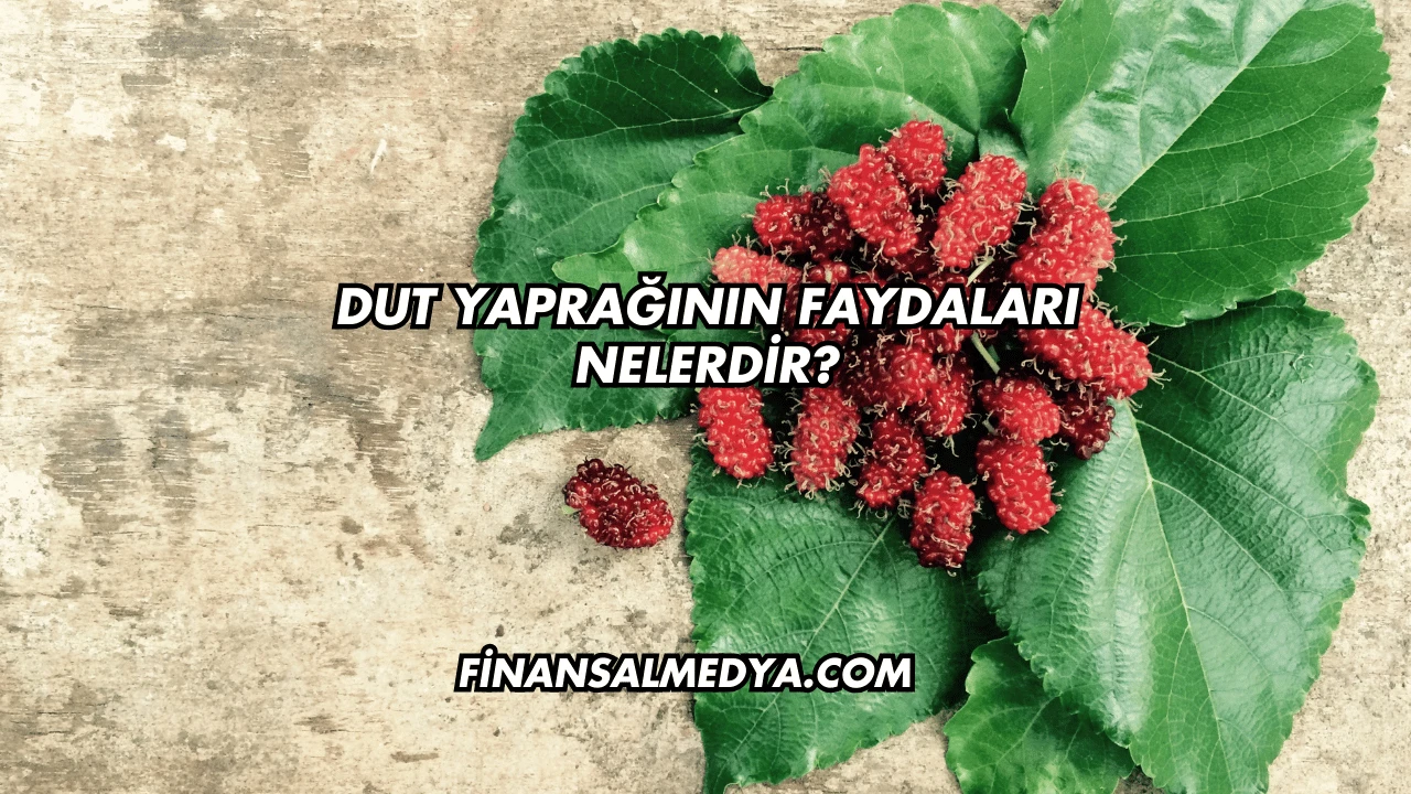 Dut Yaprağının Faydaları Nelerdir?
