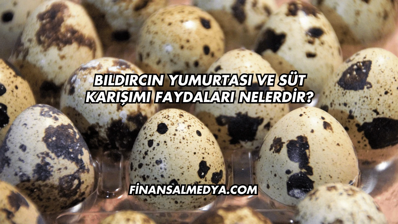 Bıldırcın Yumurtası ve Süt Karışımı Faydaları Nelerdir?