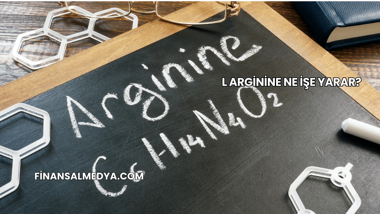 L Arginine Ne İşe Yarar?