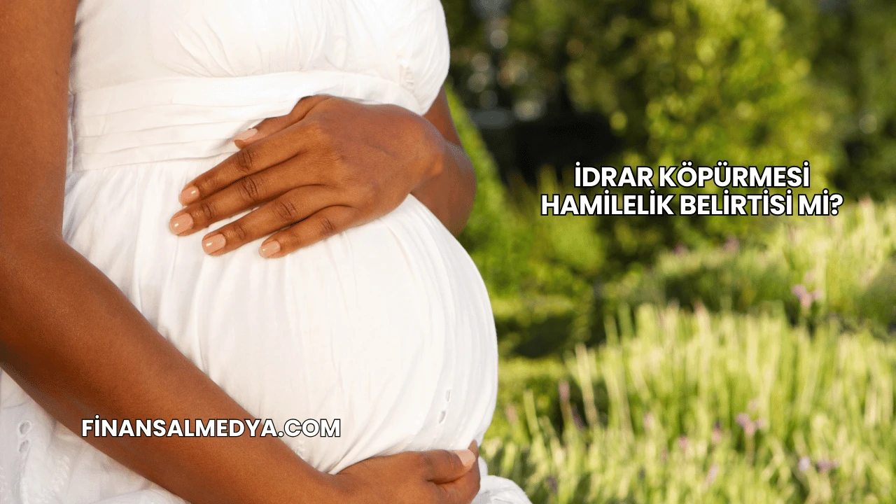 İdrar Köpürmesi Hamilelik Belirtisi mi?