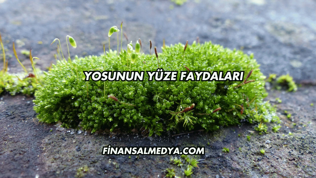 Yosunun Yüze Faydaları