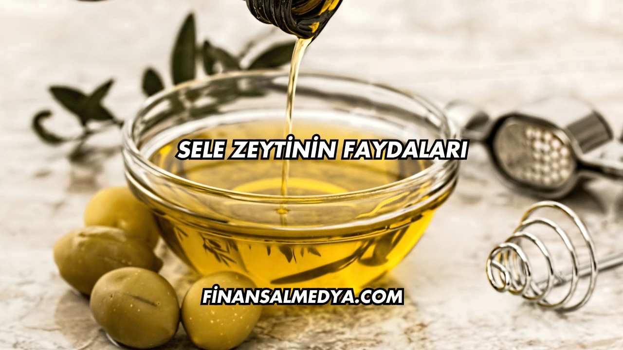 Sele Zeytinin Faydaları