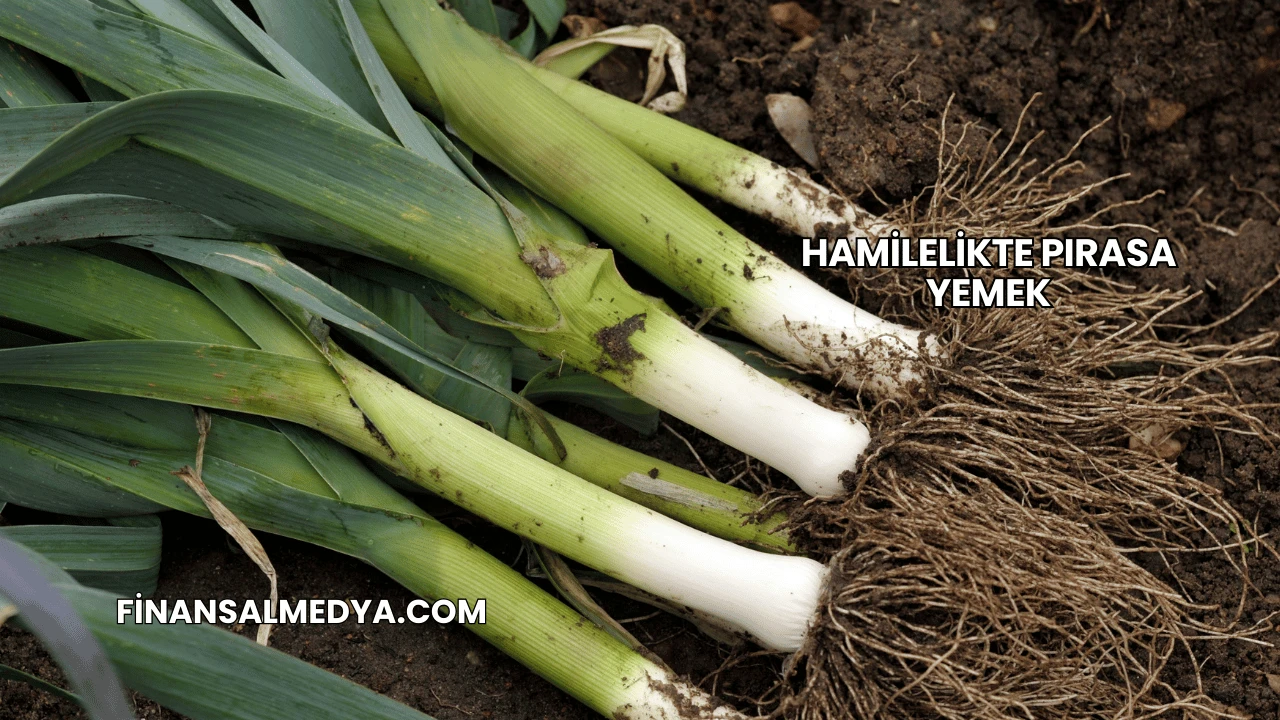 Hamilelikte Pırasa Yemek