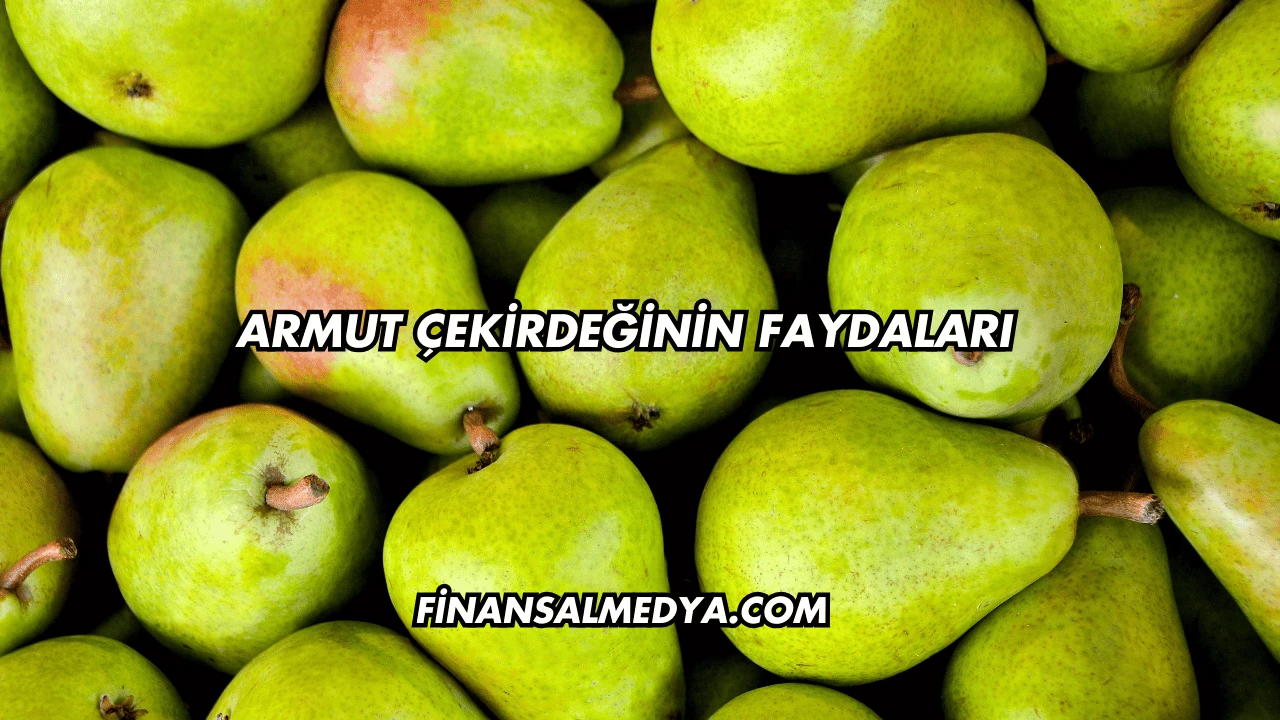 Armut Çekirdeğinin Faydaları